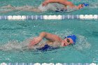 Swimming vs Babson  Wheaton College Swimming vs Babson College. - Photo By: KEITH NORDSTROM : Wheaton, Swimming, Babson